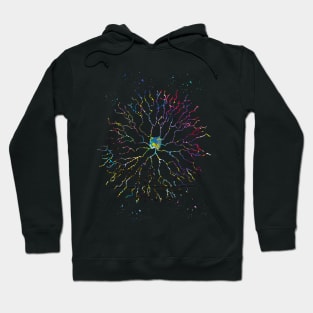 Starburst neuron Hoodie